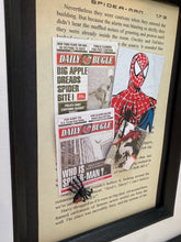 Spiderman