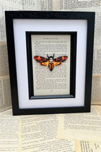 Silence of the Lambs