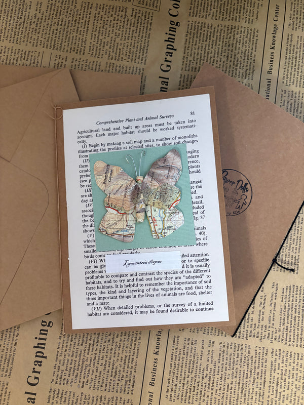 Map Moth Card