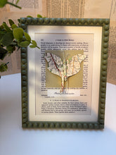 Map Moth Card